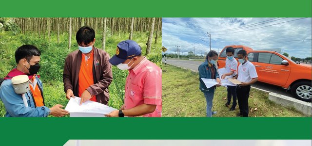 การสำรวจรังวัดที่ดิน